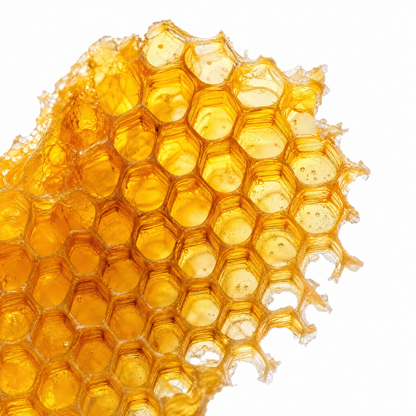 Anhydrous Beeswax